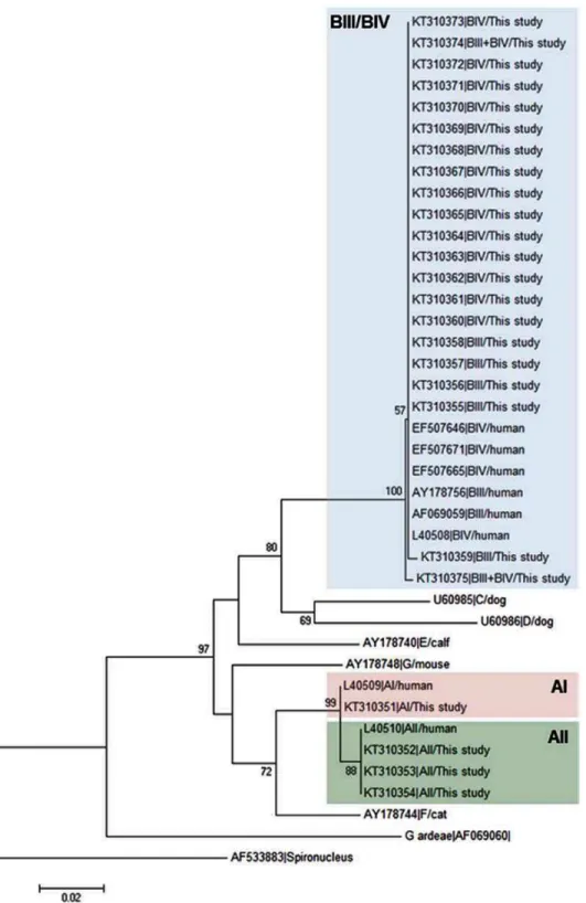 Fig 1. Evolutionary relationships among assemblages of G. duodenalis at the GDH locus inferred by a neighbour-joining analysis of the nucleotide sequence covering a 359-bp region (positions 103 to 461 of GenBank accession number L40508) of the gene
