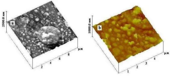 Fig.  4  AFM  image  of  a  fragment  of  a  film  deposited  in  irradiation  of  Si  in  an  Ar-O  atmosphere in the height regime at different resolution