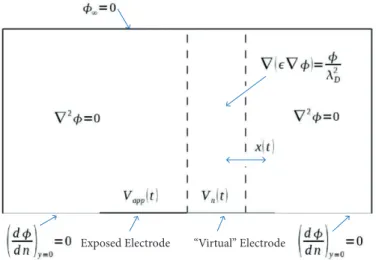 Figure 1. Engaged equations for the Lumped Circuit Element Electro-Static Model (Mertz 2010).