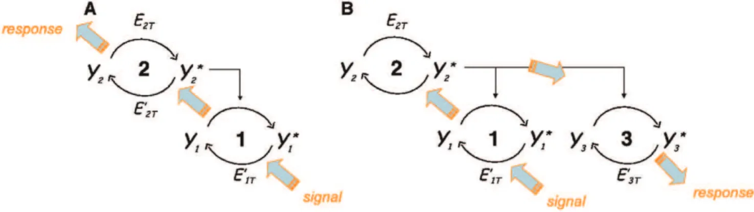 Figure 1 depicts simple motifs of 2-cycle and 3-cycle pathways.