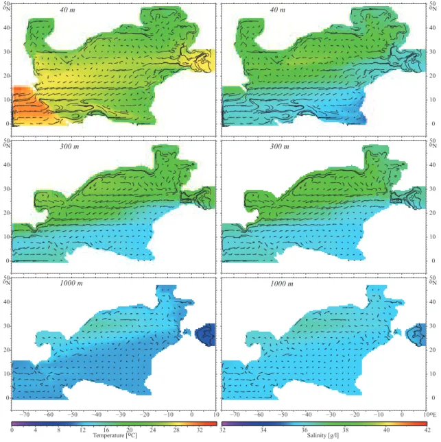 Fig. 3. REF tracer patterns. Temperature (left) and salinity (right) slices taken at depths of 40, 300 and 1000 m
