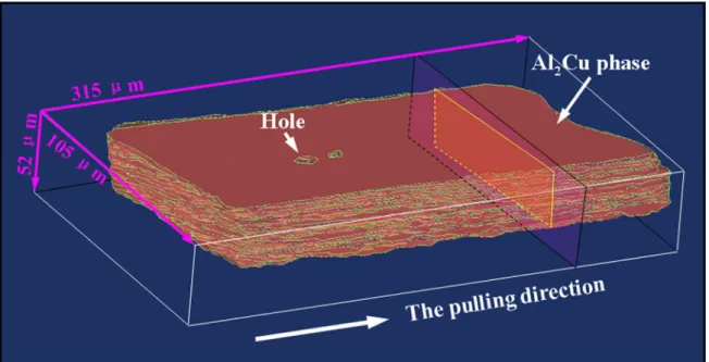Figure 3. The 3D microstructure of primary Al 2 Cu phases crystal in 0.45 mm sample during directional solidification.