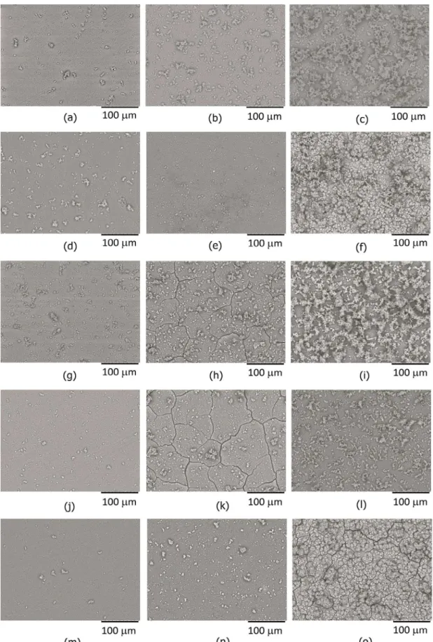 Figure 2. Images of samples submitted to bioactivity test in SBF after 4, 8 and 16 days of immersion