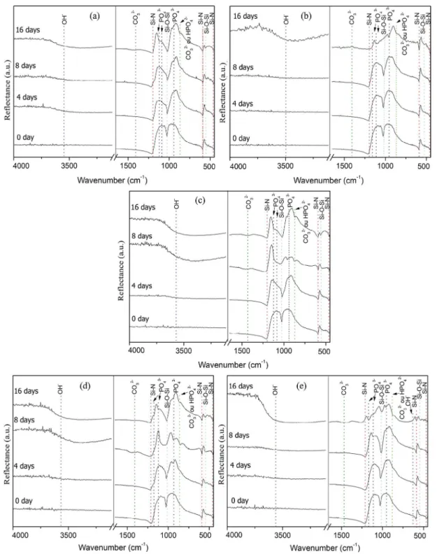 Figure 3 shows the FTIR spectra of the samples before  and after immersions in SBF solution