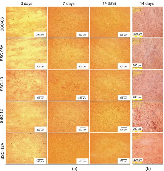 Figure 6. Images of Alizarin Red S staining of MG63 cells in the presence of samples after 3, 7 and 14 culture days obtained by (a) light  microscopy and (b) confocal microscopy.