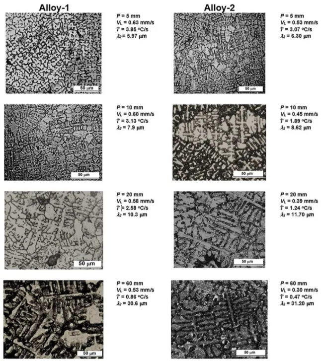 Figure 6 . Photomicrographs of samples taken from transverse sections along the castings.