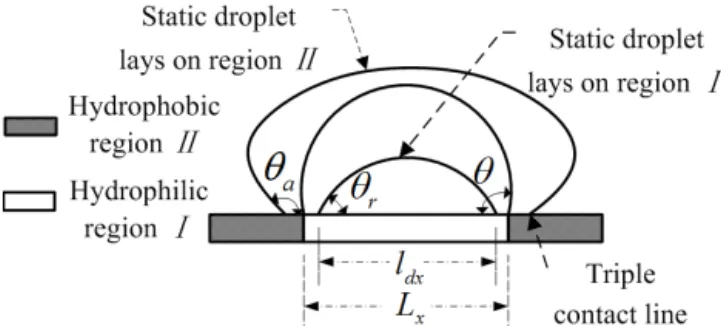 Figure 2. (a) Structured surface of the plate and (b) capillary bridge.