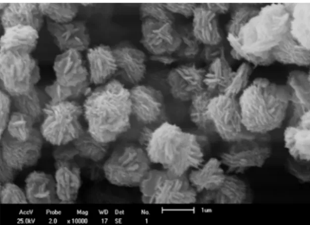 Figure 5. Image obtained by SEM for CuNa05 sample ZONH5  10.000 times. .Cu NO Q 3 2V 3 H O2 Q aq V $ Cu OHQ V 2 Q s V 