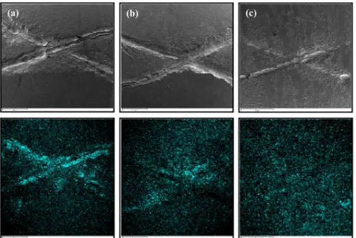Figure 8. Micrographs of the surface after 1000 h exposure to salt spray (a) RE APS - Zr, (b) RE APS/MCC - Zr and (c) RE APS/MCC  PAni ES - Zr.