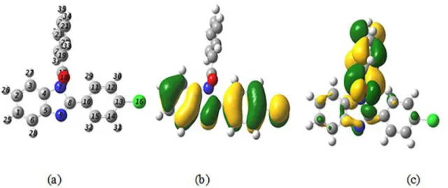 Figure 11. (a) Optimized molecular structure, (b) HOMO and (c) LUMO of the protonated CBIPM molecule.