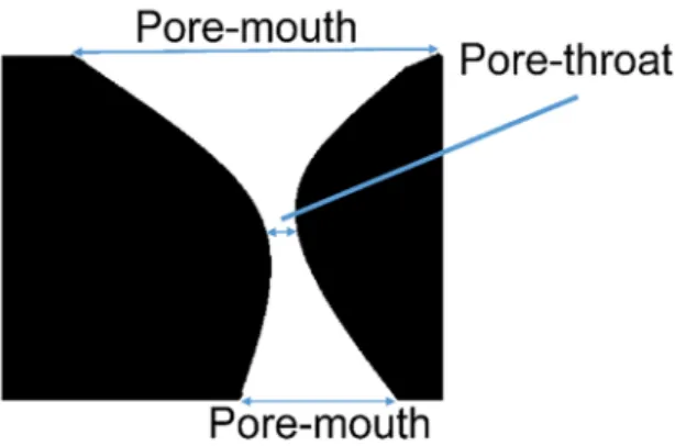 Figure 1. Schematic of a pore tunnel. Pore geometry can be divided 