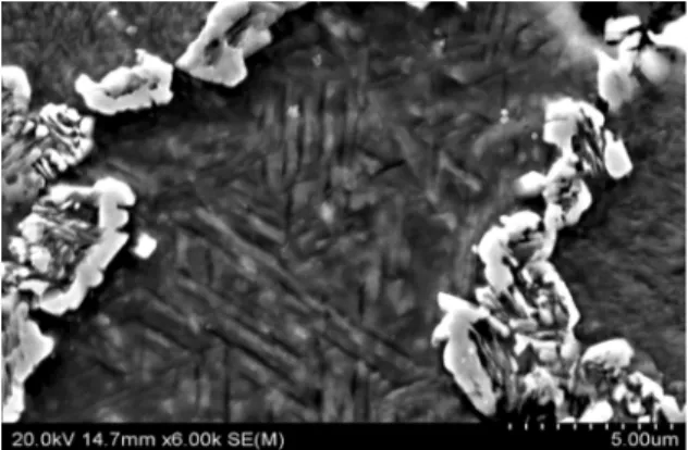 Figure 8. High magnification SEM image of sintered samples  processed under condition 4 showing the fine structure with  needle-like contrast attributed to martensitic structure