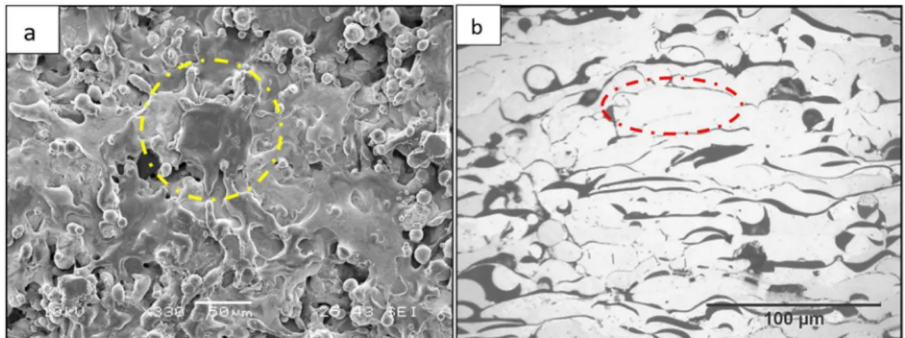 Figure 2. Microstructure of the Bond Coat. a) surface morphology in which an individual splat is shown within the yellow circle, b) cross  section morphology in which an individual lamella is shown within the red oval