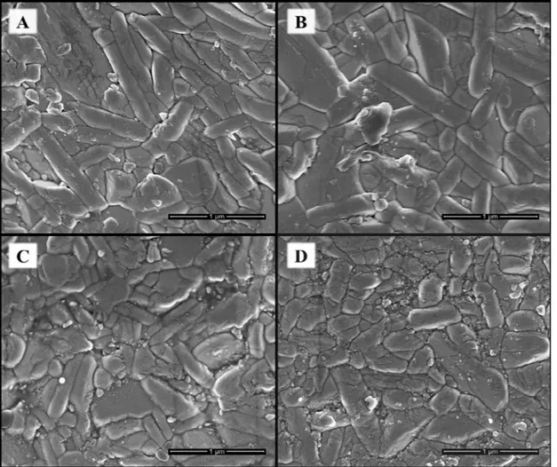 Figure 9. SEM micrographs of polished and thermally etched surface of sintered samples at 1000ºC/1h from Bi 4 Ti 3 O 12  powders: A)  600‒0; B) 600‒1; C) 700‒1; and D) 800‒1