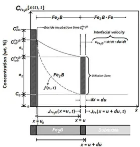 Figure 1. Schematic representation of the boron-concentration  profile through the Fe 2 B layer