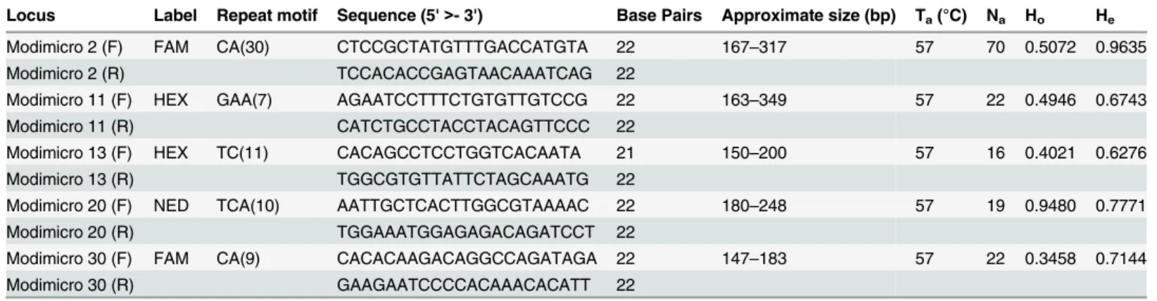 Table 2 shows the results of the 5 microsatellite loci characterised. The number of alleles ranged from 16 for Modimicro 13 to 70 for Modimicro 2