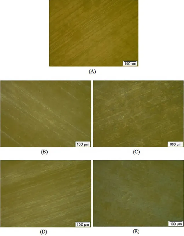 Figure 4. Optical micrograph (200X) of Ba 2 AlNbO 6  ceramics before and after submersion in crude petroleum: (A) Before submersion  in crude petroleum, (B and C) after 45 and 60 days submersion, respectively, in earthen crude petroleum and (D and E) after