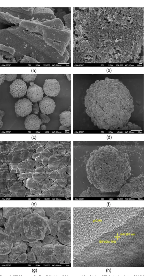 Figure 3. SEM images of bulk g-C 3 N 4  (a), g-C 3 N 4  nanoparticles (b), bare BiFeO 3  (c, d and e) and 16CN/