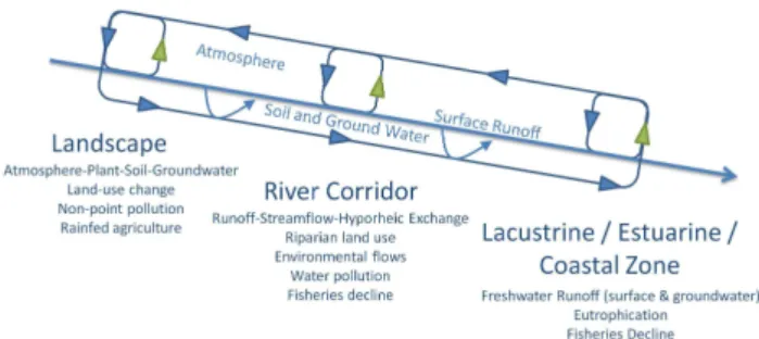 Fig. 1. Schematic representation of spheres of ecohydrology and key processes and issues highlighted in this paper