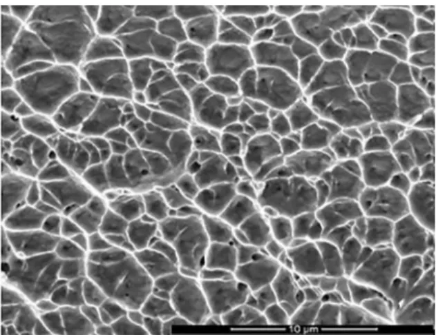Figure 6. Microfractographic examination of the non-refined cast  Hadfield steel after tensile testing, featuring ductile fracture by  twinning, SEM, SEI.