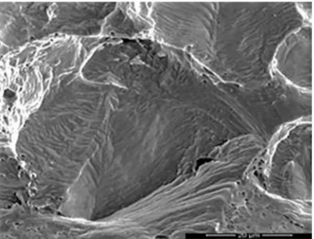 Figure 12. Ductile fracture of the Hf-refined cast Hadfield steel  after impact testing , featuring the presence of dimples, SEM, SEI.