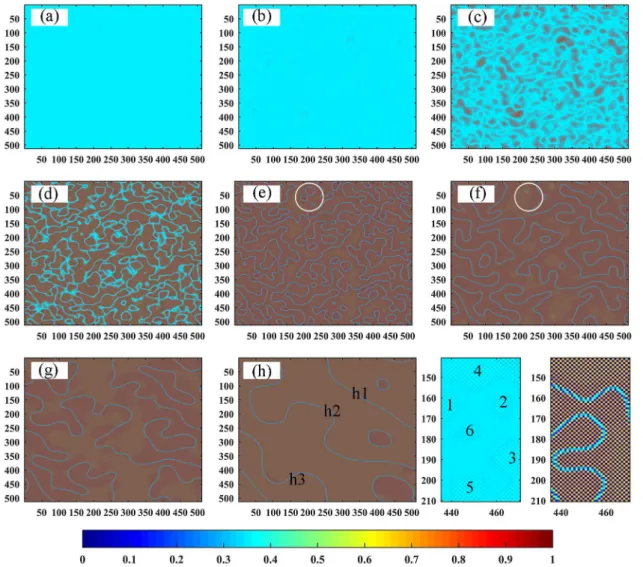 Figure 2. The morphological evolution of B2-FeAl ordered domains in Fe-35at. % Al, T = 973 K