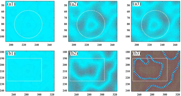 Figure 3. Micrographs displaying the formation process of closed APDB. (a1-a3) t = 50, 950, 1000, respectively; (b1-b3) t = 50, 950,  1000, respectively.