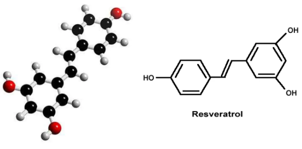 Figura 3. Estrutura química do resveratrol  