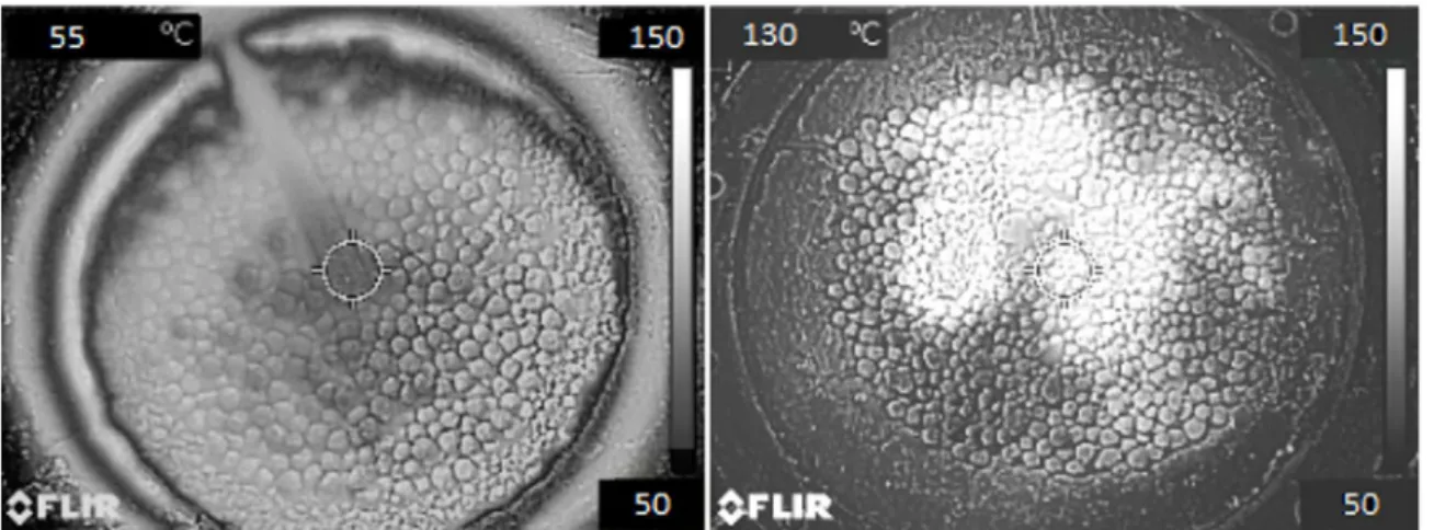 Figure 8. Heating pattern over the pan of the pot grate (a) fully conventional heating (b) assisted by Microwave.