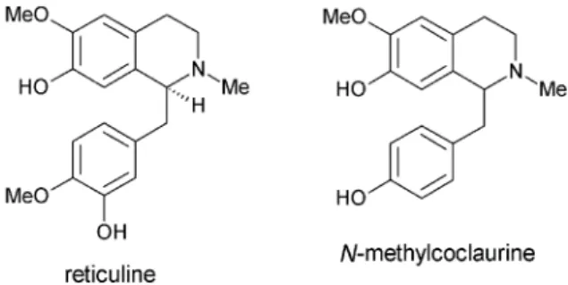 Figure 1. Reticuline and N-methylcoclaurine structures.