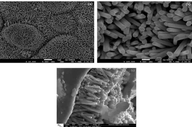 Figure 3. Scanning electron microscopy images: (a) and (b) as-prepared ZnO nanorods and (c) side view of the ZnO nanorods arrays