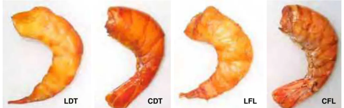 Figura 1. Camarões defumados. LDT: camarão limpo, defumação tradicional; CDT: 