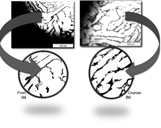 Figure 5. (a) and (b) Binary images from those micrographs shown in Fig. 6, and (c) the average of the β-phase determined from the  binary images.