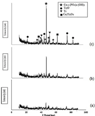 Fig. 4 shows the SEM image of the calcined Ca(OH) 2 and DAP sample in 700 ºC.
