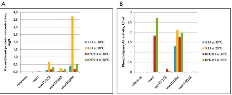 Figure 3. Recombinant proteins concentration and enzymatic activity. Concentration of recombinant protein in fermentation broth (same samples as on Figure 2) were measured by ELISA with anti-penta-His antibody (A)