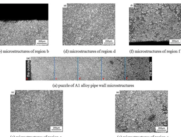 Figure 4. Rheo-squeeze casting A1 alloy pipe wall with gradient structure (a) puzzle of A1 alloy pipe wall microstructures; (b - f)  microstructures of regions b - f.