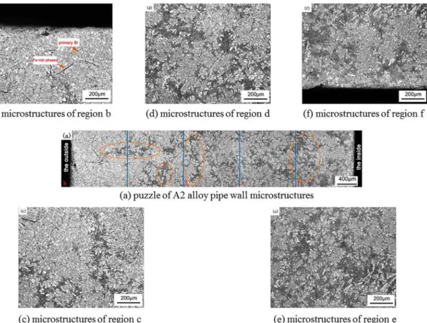 Figure 5. Rheo-squeeze casting A2 alloy pipe wall with gradient structure (a) puzzle of A2 alloy pipe wall microstructures; (b - f)  microstructures of regions b - f.