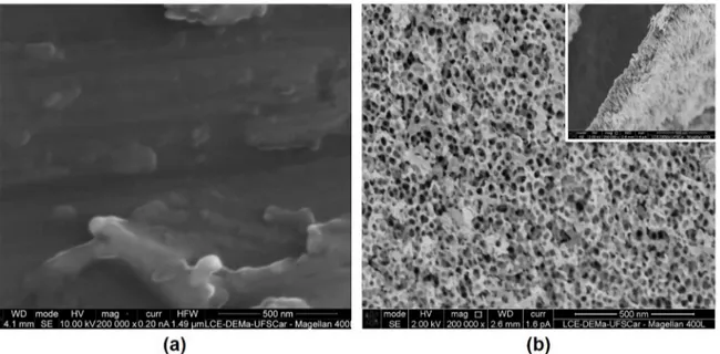 Figure 1. SEM imagens of the bottow views of (a) Ti10Mo8Nb alloy (b) nanoporous layer on the Ti10Mo8Nb