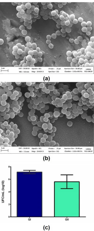 Figure 6. Bacteria proliferation on the Ti10Mo8Nb alloy (a) oxide  layer, (b) nanoporous layer and (c) statistical analysis