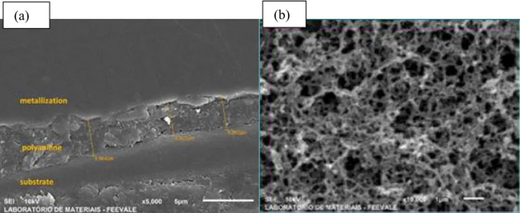 Figure 7: SEM photomicrographs of PAni films:(a) thickness of PAni film on the sensor and (b) surface morphology (for  (a) an (b) deposition time 30 minutes in acid medium)