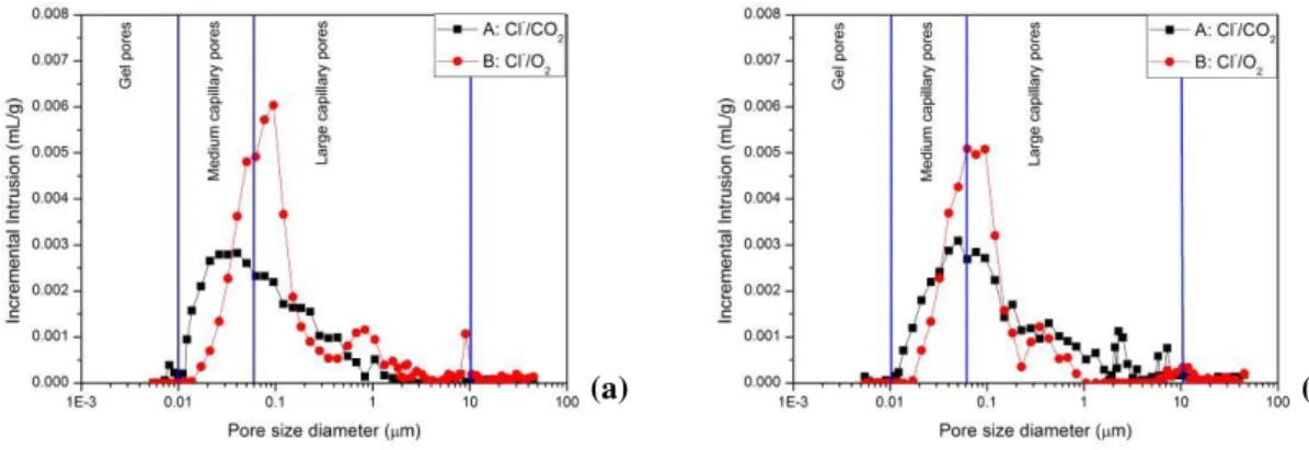 Figure 9: Incremental mercury intrusion versus pore size for cycles A and B: after 56 days on OPC specimens (a)  and   after 168 days on OPC specimens (b)