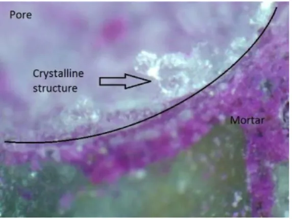Figure 11: Optical microscope image (x400) of sample subjected to the combined action of CO 2  and Cl -  (cycle A) in a   non-carbonated region