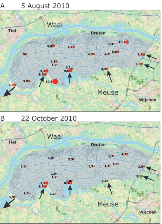 Fig. 2. Measured Gd-anomalies on (a) 5 August and (b) 22 October 2010. The arrows indicate the inlets and the outlet.