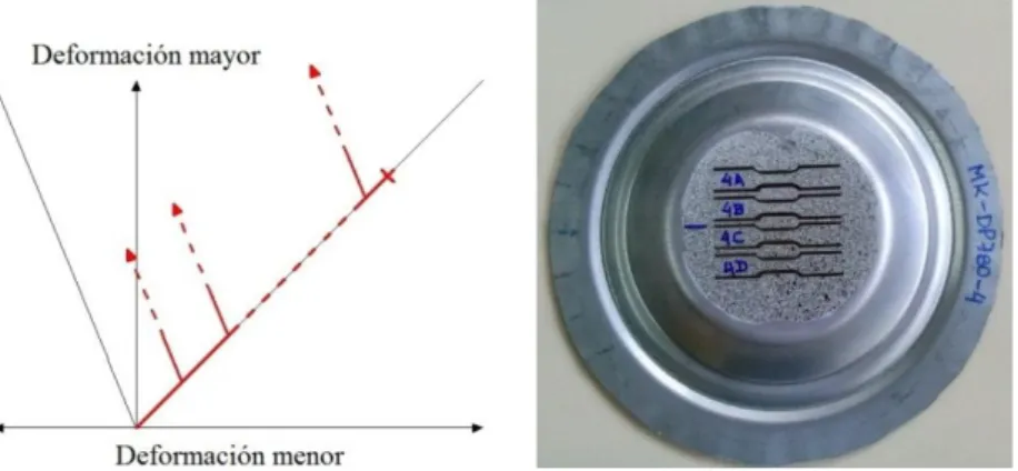 Figura 4: (Izquierda) Trayectorias bilineales investigadas; (Derecha) extracción de muestras de tracción uniaxial a partir  de una probeta pre-deformada mediante un ensayo Marciniak