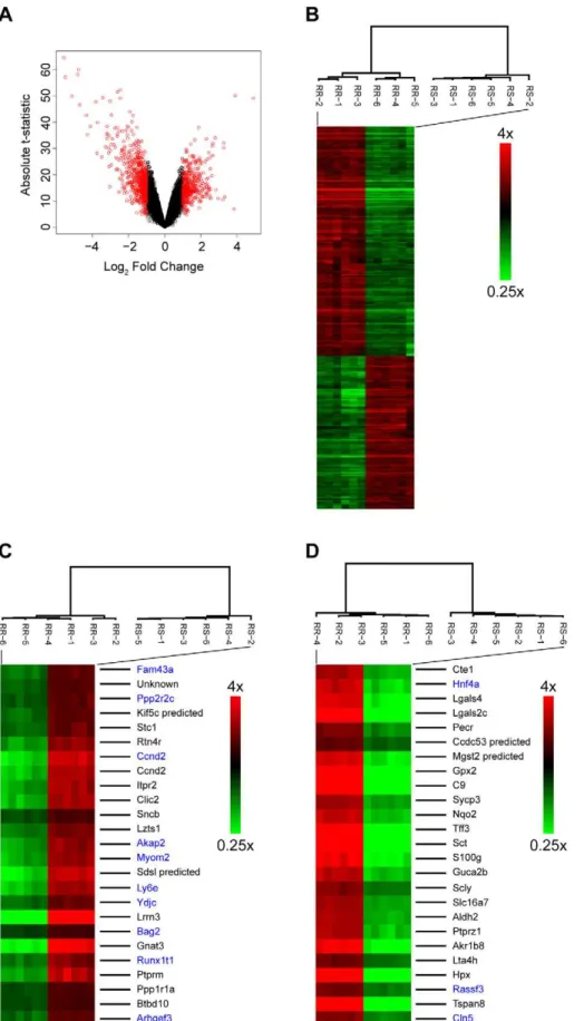 Figure 5. Analysis of gene expression data. A. The volcano plot shows that there are many significant genes with high fold change; significant genes (probes with FDR adjusted p-values,0.05) with differential expression $2 fold are marked in red