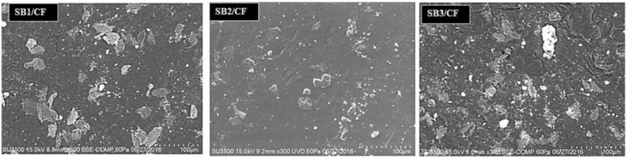 Figure 7. X-Ray Diffraction of SB (Styrene-Butadiene) copolymers  and SB (Styrene-Butadiene)/CF (Chicken Feather) composites.