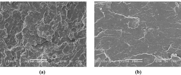Figure 9. SEM micrographs of PLA/BFA composites with 25 wt% of untreated (a) and surface-treated (b) BFA particles.