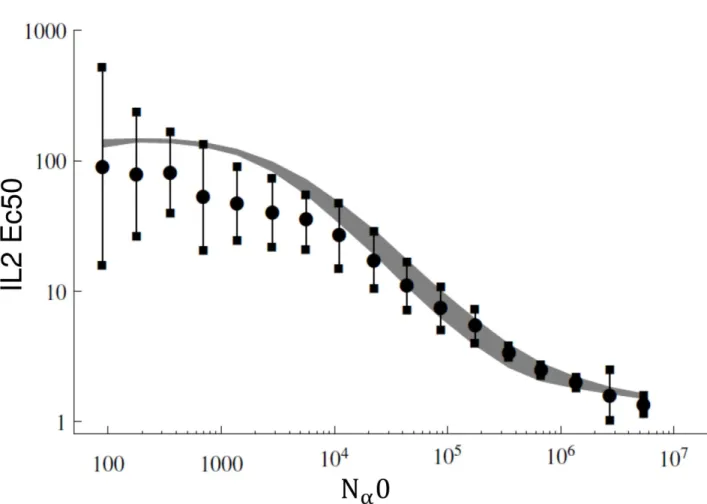 Fig 5. Comparison between experimental measurement and calibrated model prediction of Ec50 dependency on the number of IL2Rα
