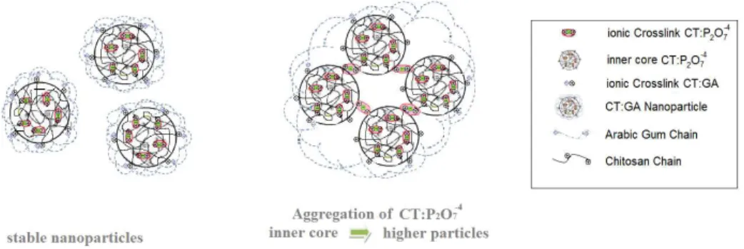 Figure 4. Adsorption of copper ions by CTGA NPs, CT, and GA.
