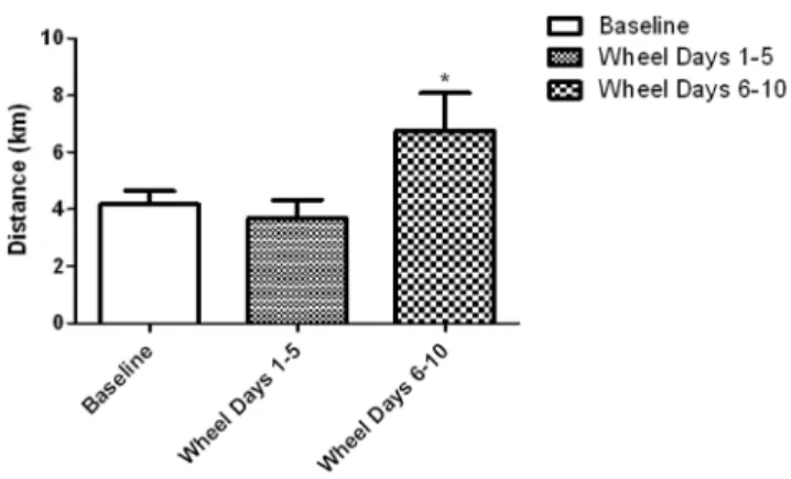 Figure 5. Experiment 2, a-synuclein protein level in nucleus accumbens. Western blot analysis probing for a-synuclein to confirm the signal for the over expression of Vmat2 protein seen in the nucleus accumbens